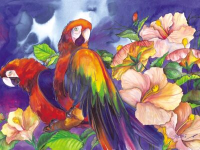 SHE 012 / Hettie SAAIMAN / Çiçekler ve Papağanlar