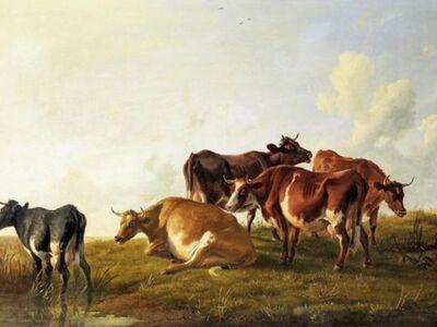 CTS 006 / Thomas Sidney COOPER / Cattle in The Pasture