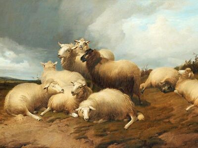 CTS 007 / Thomas Sidney COOPER / Sheep in The Meadows