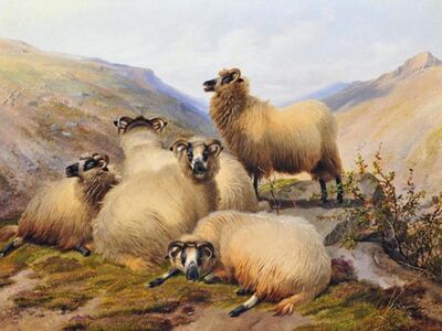 CTS 008 / Thomas Sidney COOPER / Sheep in The Highlands