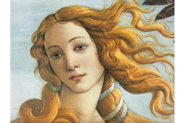 BSA 002 / Sandro BOTTICELLI / Venus BSA 002 / Sandro BOTTICELLI / Venus