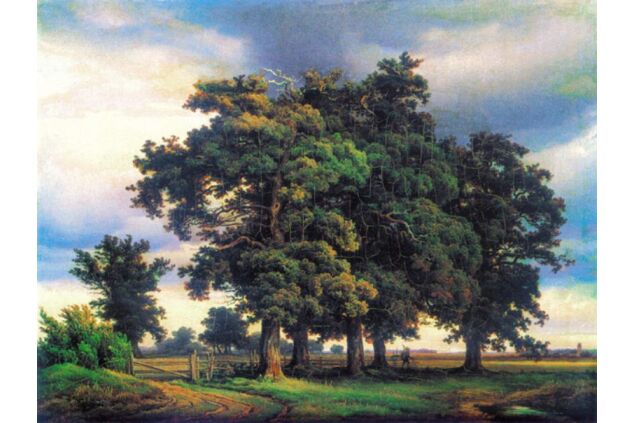 CGH 001 / Georg Heinrich CROLA / Meşe Ağacı 1833 CGH 001 / Georg Heinrich CROLA / Meşe Ağacı 1833