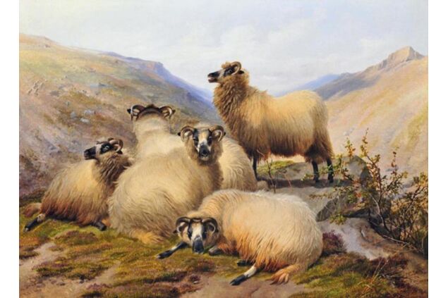 CTS 008 / Thomas Sidney COOPER / Sheep in The Highlands CTS 008 / Thomas Sidney COOPER / Sheep in The Highlands