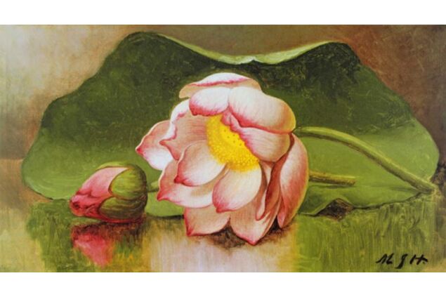 HMJ 001 / Martin Johnson HEADE / Lotus Blossom HMJ 001 / Martin Johnson HEADE / Lotus Blossom