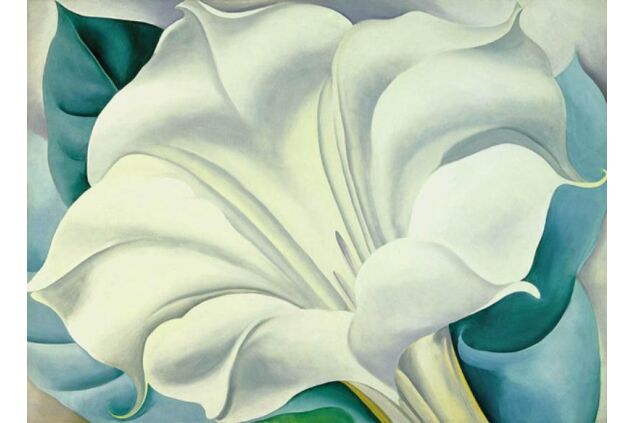 KGE 002 / Georgıa O'Keeffe / The White Flower KGE 002 / Georgıa O'Keeffe / The White Flower