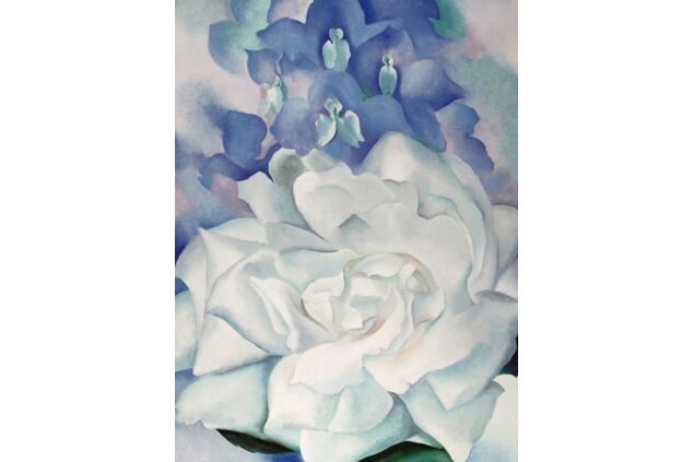KGE 003 / Georgıa O'Keeffe / White Rose With Larkspur KGE 003 / Georgıa O'Keeffe / White Rose With Larkspur