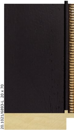 20.1021 20.1021/6893-L