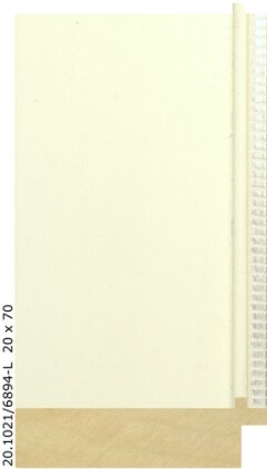 20.1021 20.1021/6894-L