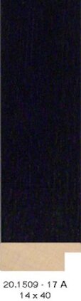 20.1509 20.1509/17-A