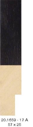 20.1659 20.1659/17-A