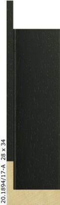 20.1894 20.1894/17-A