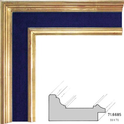 71.6685 71.6685/3508-AM