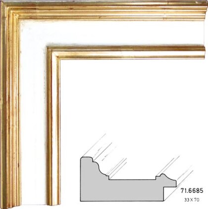 71.6685 71.6685/3511-AM