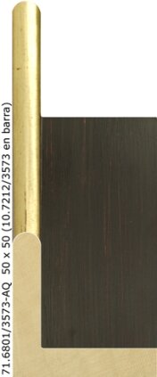 71.6801 71.6801/3573-AQ