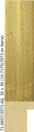 71.6807 71.6807/3573-AQ